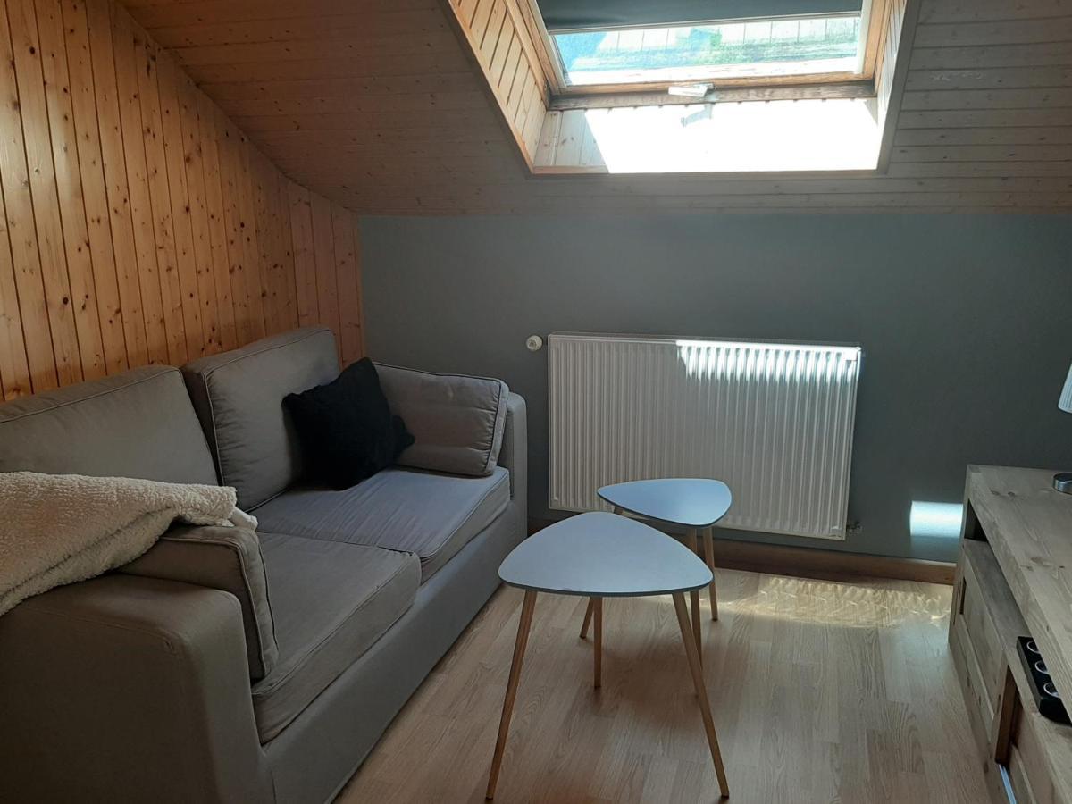 Thônes Charmant Appartement 2-4 Personnes Entre Annecy Et Aravis מראה חיצוני תמונה
