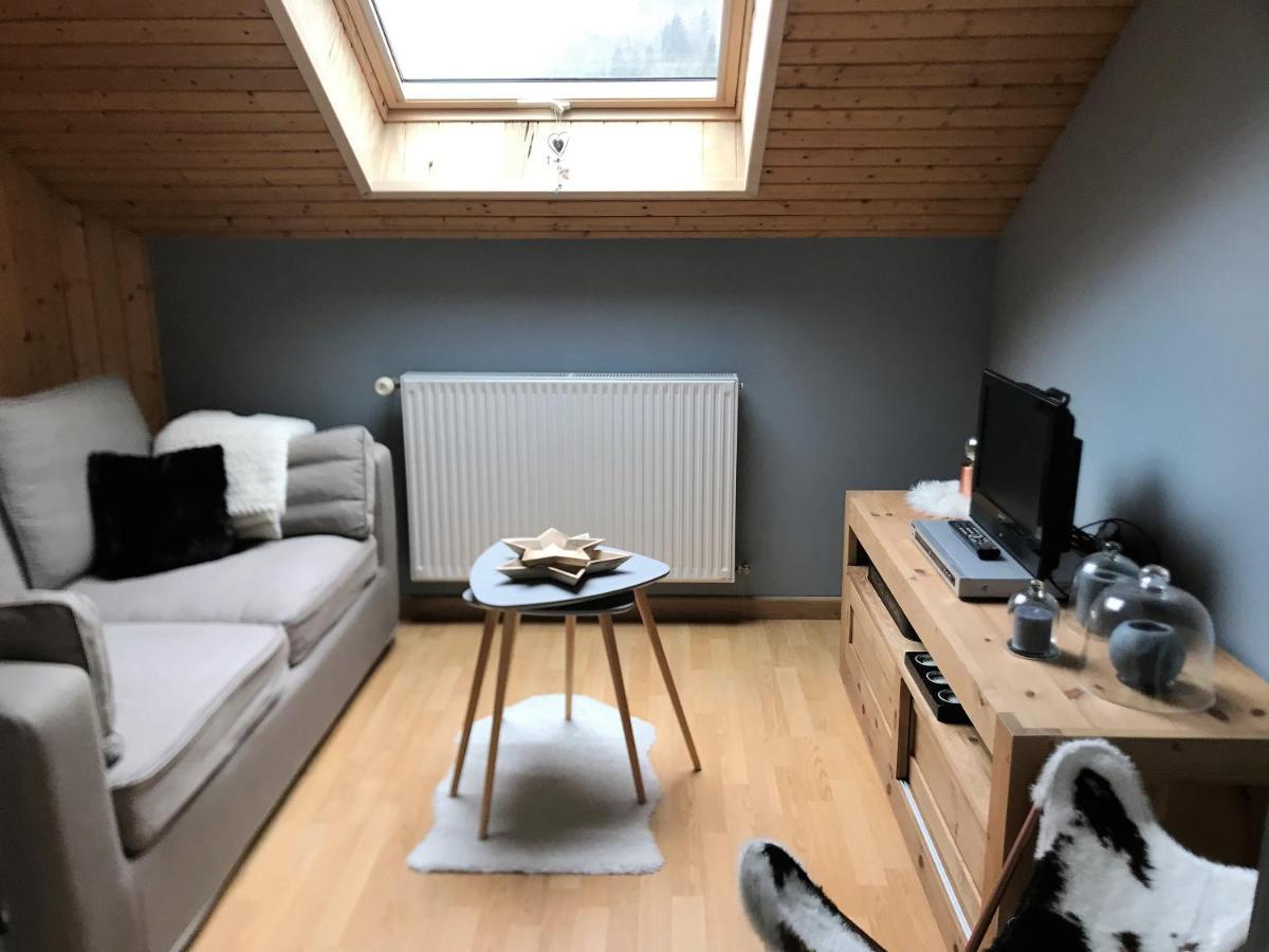 Thônes Charmant Appartement 2-4 Personnes Entre Annecy Et Aravis מראה חיצוני תמונה
